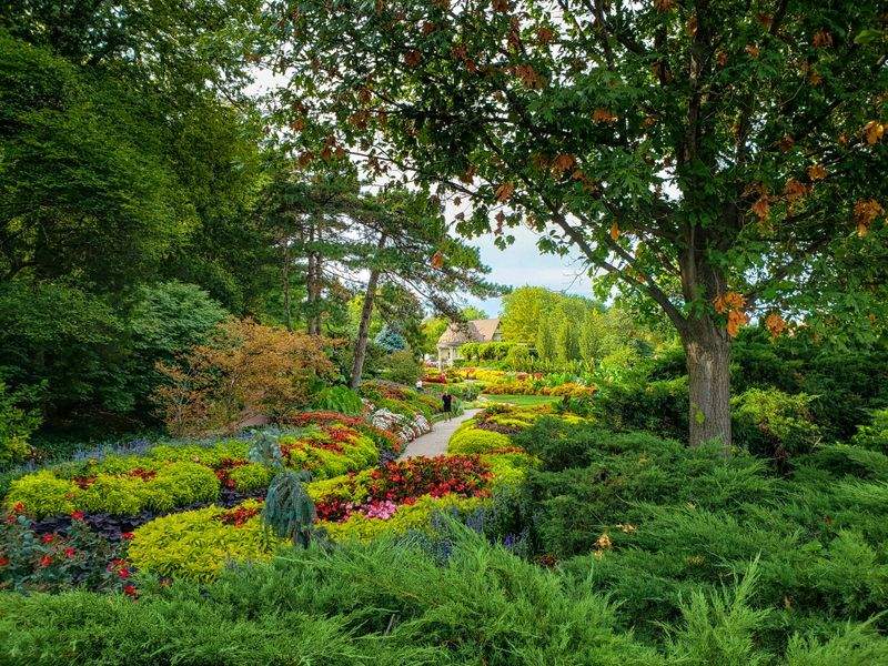 Maple Bloom Garden Co.