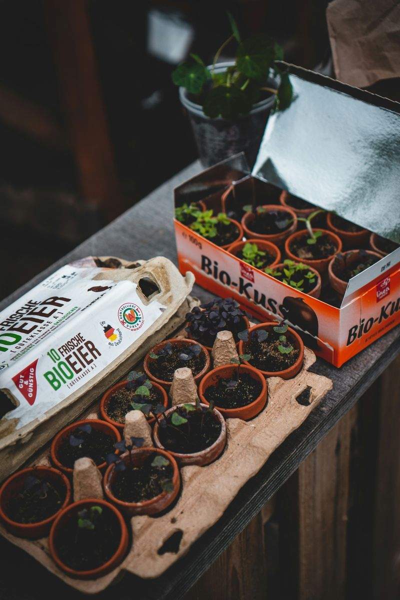 Maple Bloom Garden Co. 15