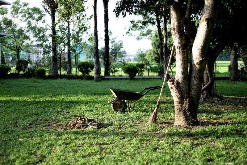 Garden design and planning