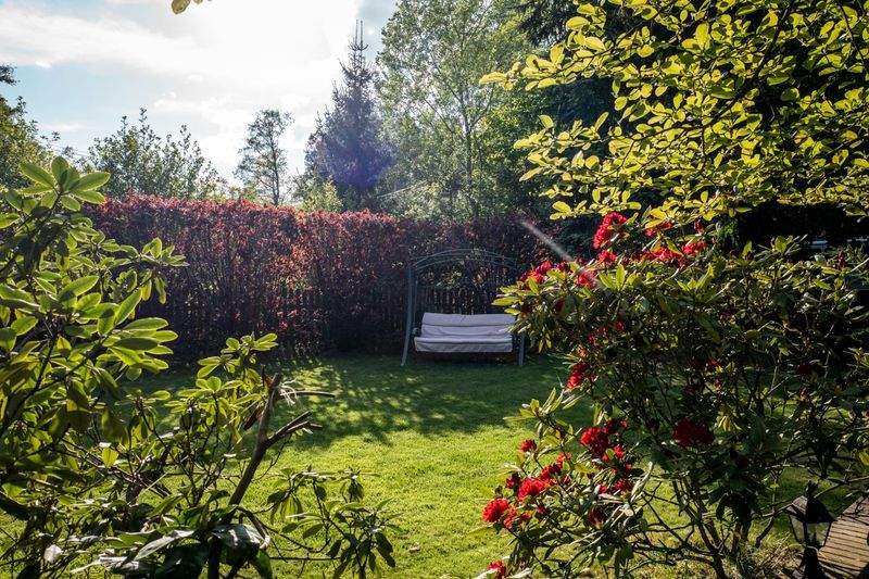 Seasonal planting and flower bed installation
